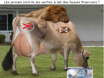 Vache jersiaise 1